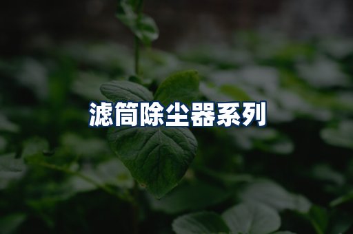 滤筒除尘器展示