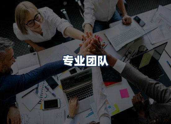 专业团队